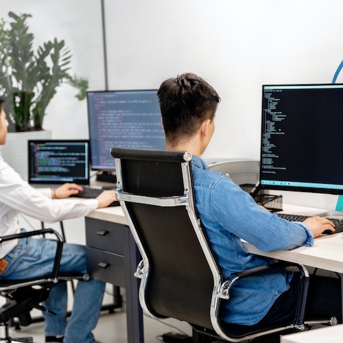 Software Training and Coaching